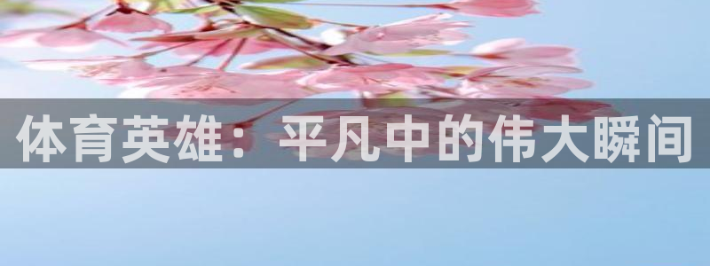 oety欧亿：体育英雄：平凡中的伟大瞬间