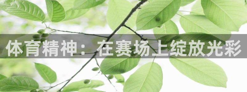 oety欧亿：体育精神：在赛场上绽放光彩