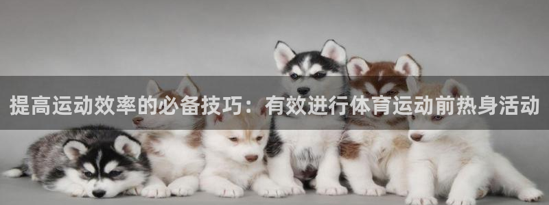 oety欧亿：提高运动效率的必备技巧：有效进行体育运动前热身活动