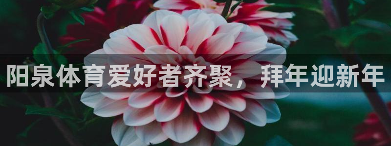 oety欧亿：阳泉体育爱好者齐聚，拜年迎新年