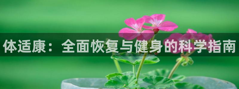 oety欧亿：体适康：全面恢复与健身的科学指南
