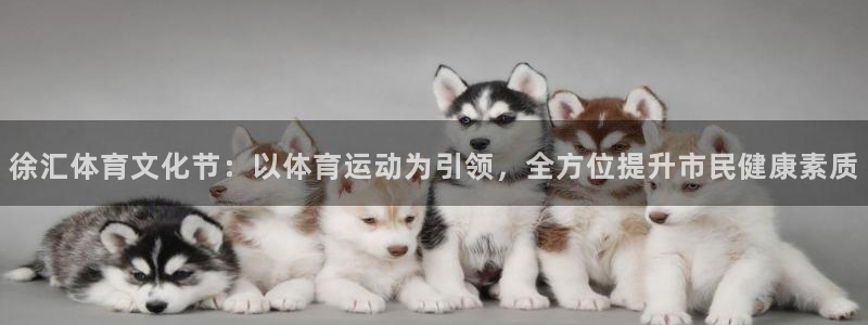 oety欧亿：徐汇体育文化节：以体育运动为引领，全方位提升市民健康素质
